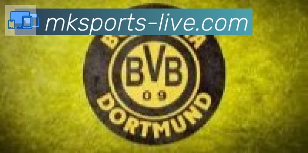 MK体育合作伙伴