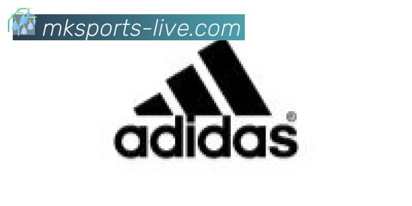 MK体育合作伙伴