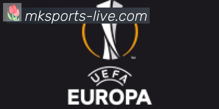 MK体育合作伙伴