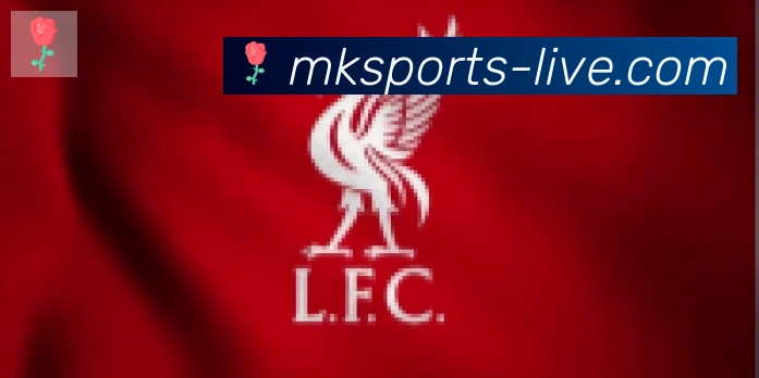 MK体育合作伙伴