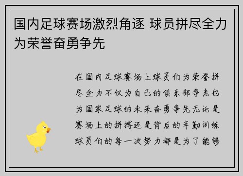 国内足球赛场激烈角逐 球员拼尽全力为荣誉奋勇争先